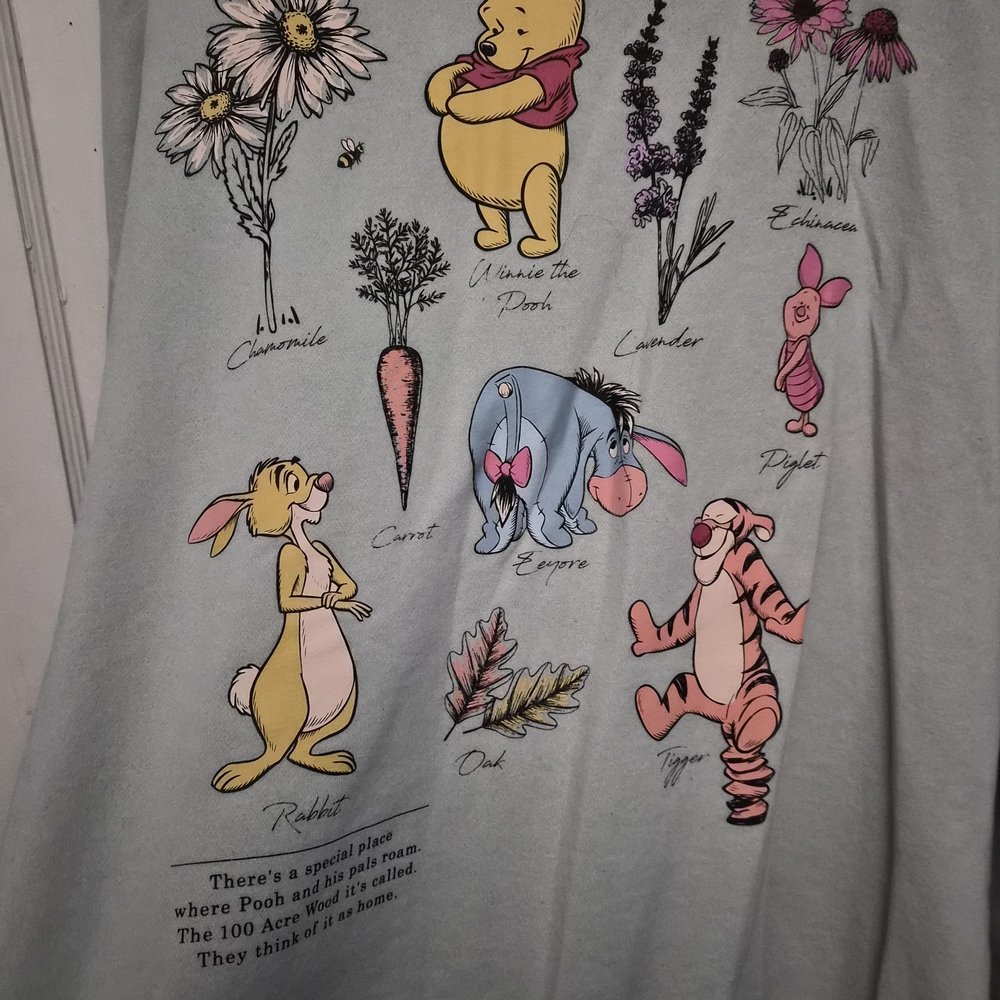 Winnie the Pooh Sage Green Hoodie And White T-shirt